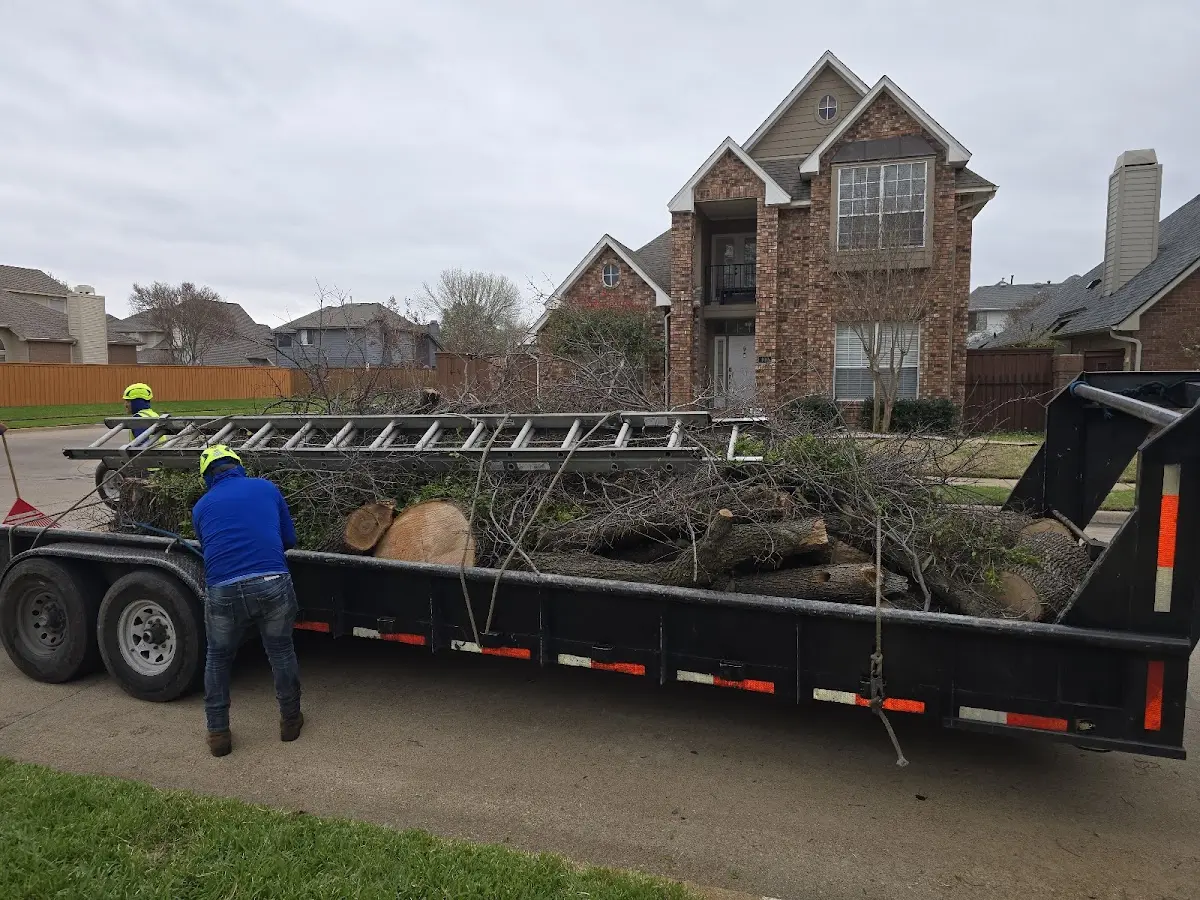 Expert Crown Reduction with proper safety equipment in Sodus